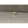 Roco 95163 GEBRUIKT voor E 144