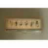 Preiser 79084