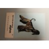 Afghaanse Honden