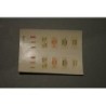 JV 0259 stickers klasseindelingen